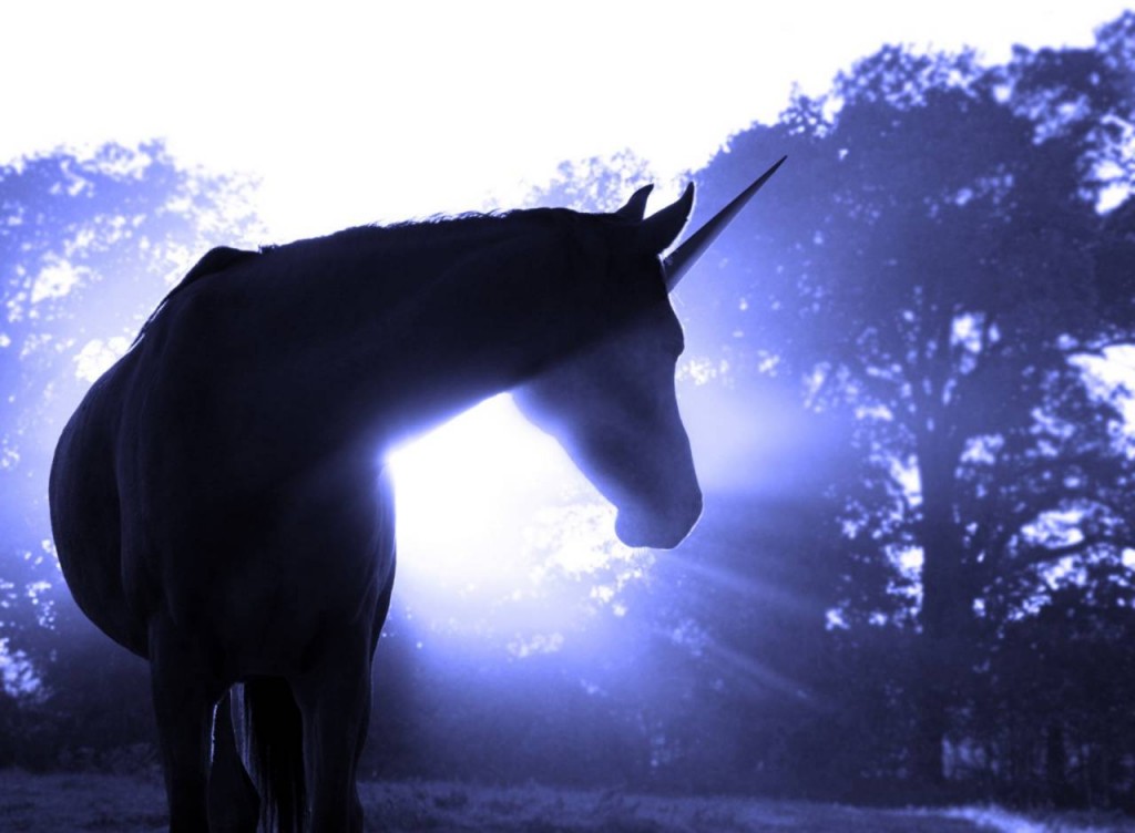The Unicorn that loves your brand
