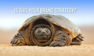 Seinfeld and the Frightened Turtle Brand Strategy