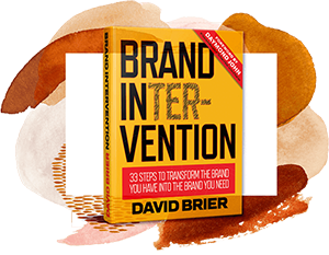 Buy David Brier's Amazon Best Seller "Brand Intervention"